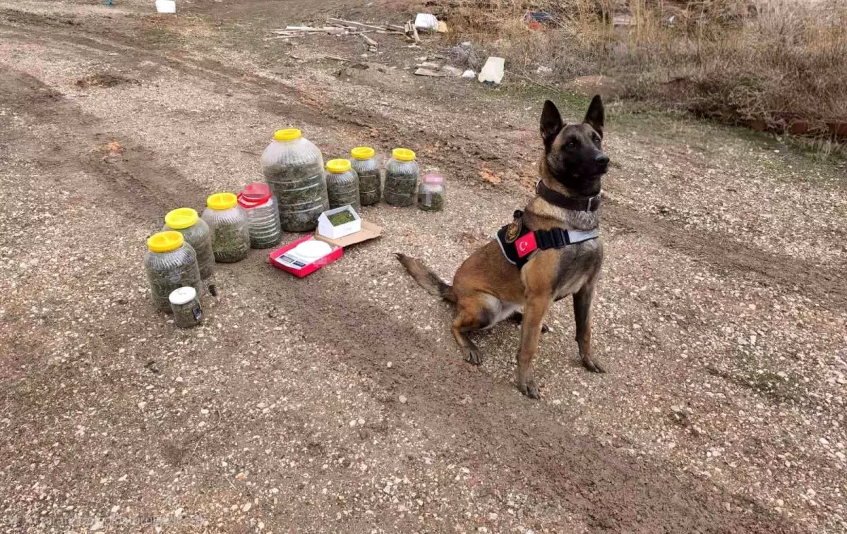 Karaman'da uyuşturucu operasyonu: 1 gözaltı