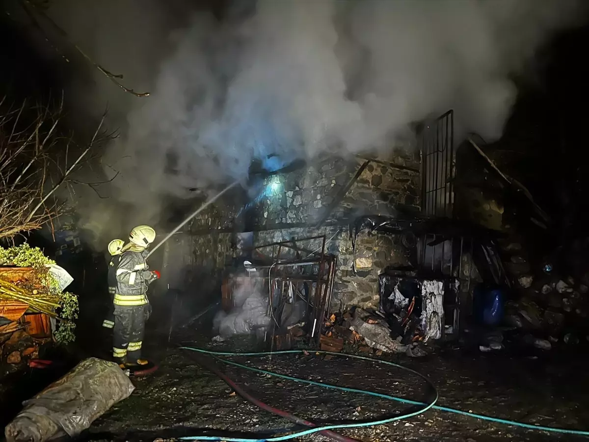 Muğla'da ahırda çıkan yangında 8 küçükbaş hayvan ile bir eşek telef oldu