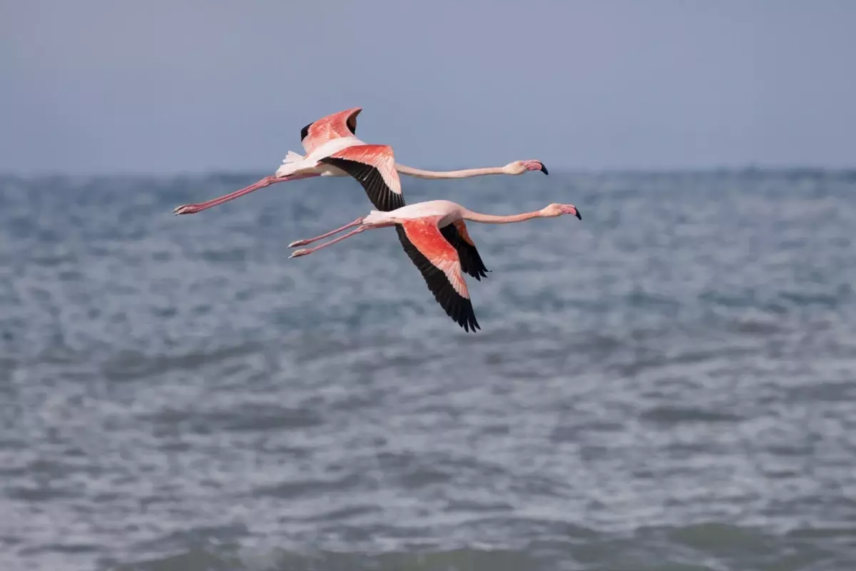 Mumbai değil Kastamonu! Vatandaşlar hemen telefona sarıldı