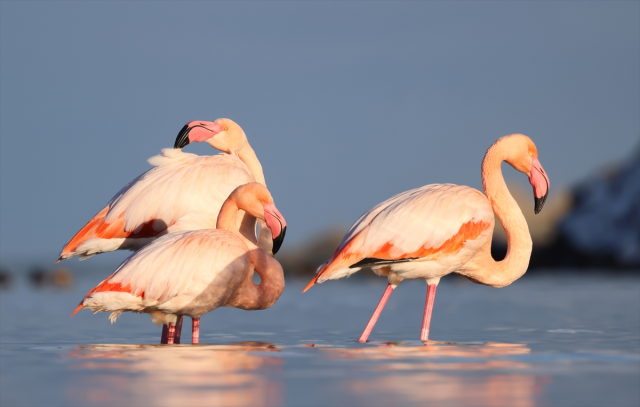 Not Mumbai, but Kastamonu! Citizens immediately grabbed their phones