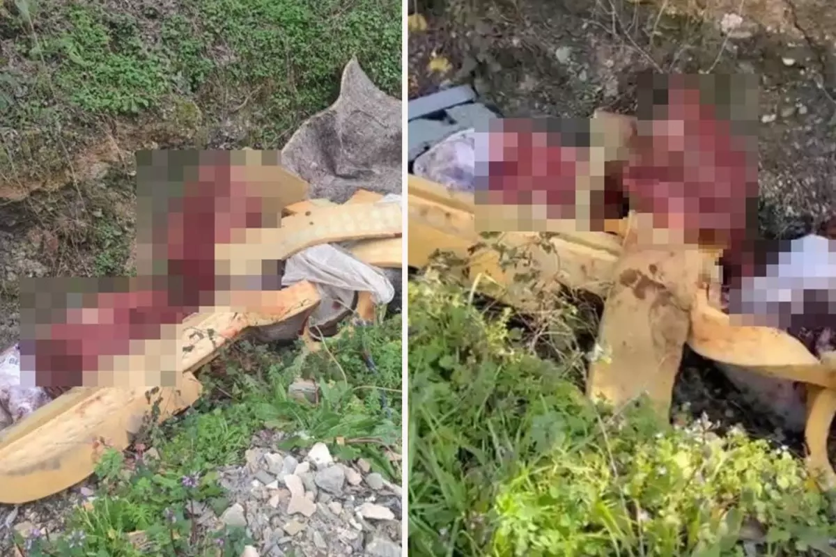 Sakarya'da çalılık alana hayvan kemiği attığı tespit edilen 2 şüpheli yakalandı