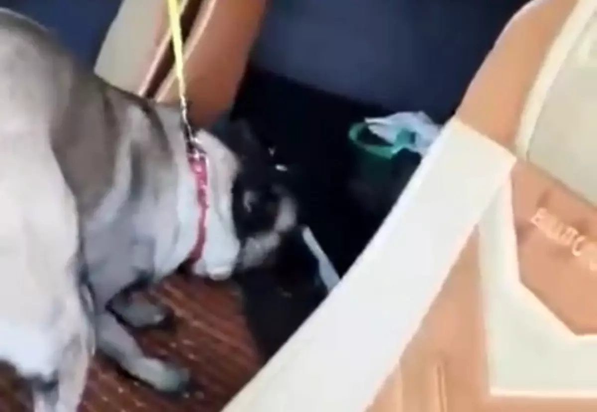 Samsun'da tırda metamfetamin ele geçirildi