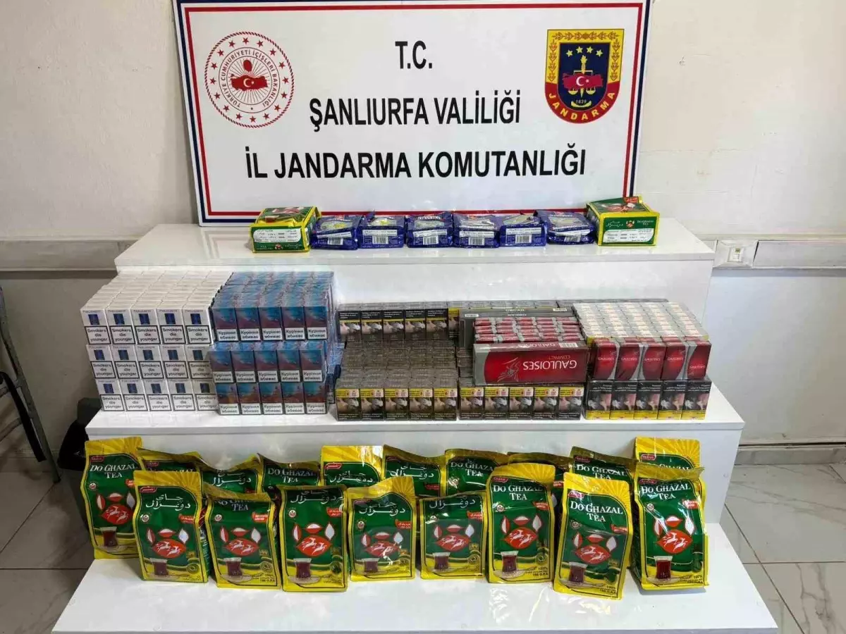 Şanlıurfa'da 6 bin 180 paket gümrük kaçağı sigara ele geçirildi