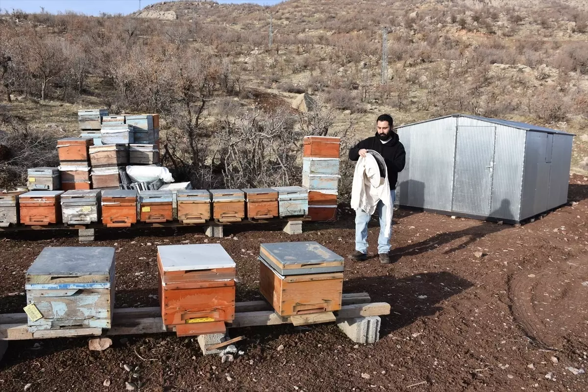 Şırnak'ta ürettiği balla Paris'ten sonra Londra'dan da ödülle dönmek istiyor