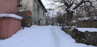 Ağrı, Ardahan ve Iğdır'da dondurucu soğuklar etkili oluyor