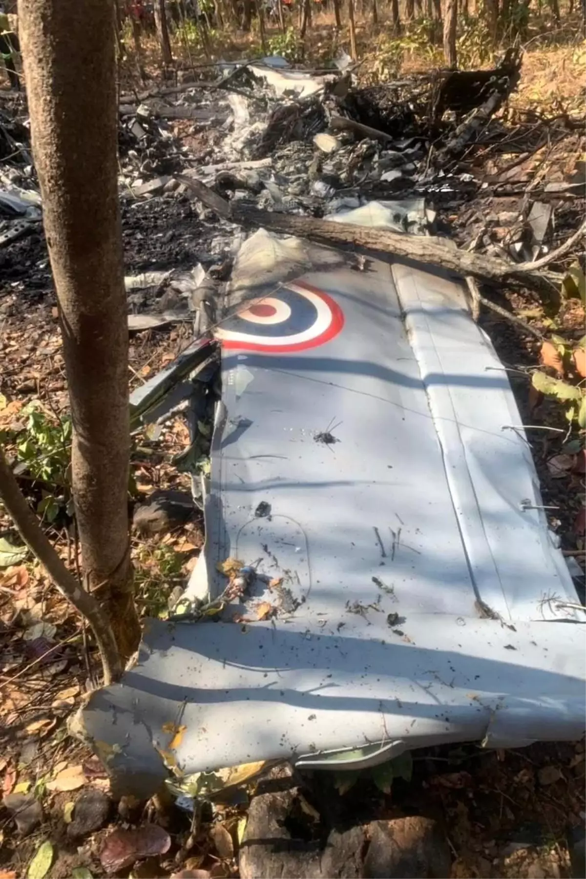 Albüm: Tayland'da Askeri Uçak Düştü: 2 Pilot Öldü