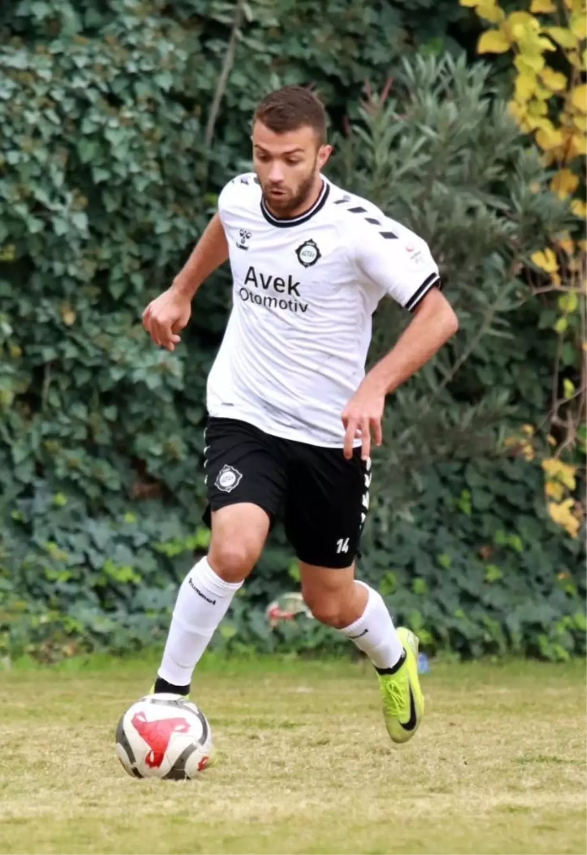 Altay'da Efe dönüyor