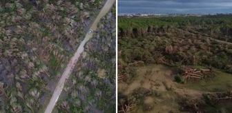 Antalya'da hortumun zarar verdiği ormanlık alan havadan görüntülendi