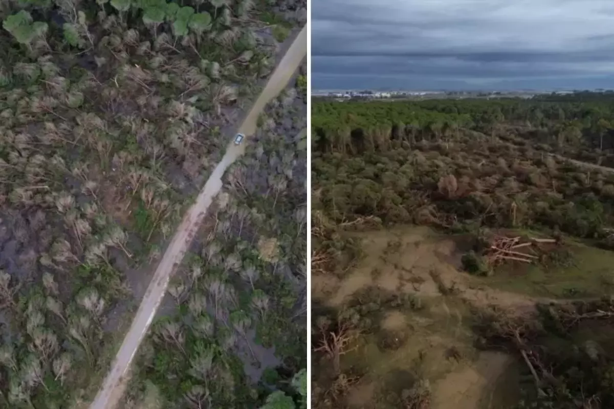 Antalya'da hortumun zarar verdiği ormanlık alan havadan görüntülendi