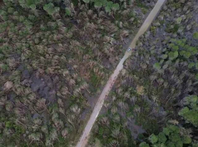 antalya da hortumun zarar verdigi ormanlik alan 19516393 8972 m