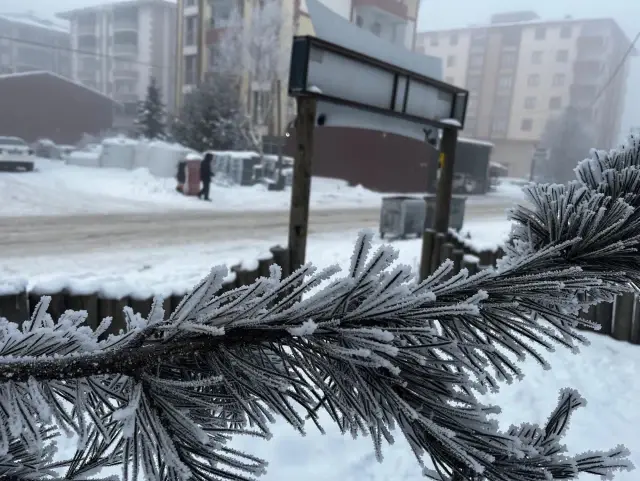 The city froze, the eyebrows and eyelashes of those who went outside are freezing