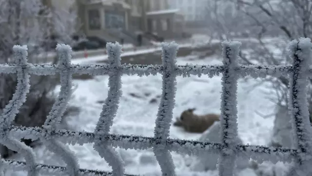 The city froze, the eyebrows and eyelashes of those who went outside are freezing