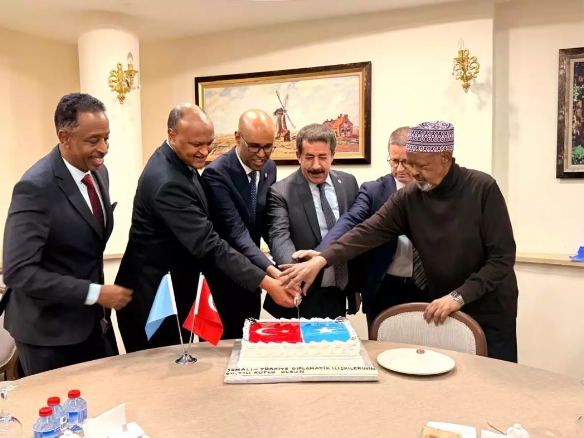 Dostluk Grubu Başkanı Fırat'tan "Türkiye, Somali'de petrol buldu" iddiasına yanıt: "Somali'nin Stratejik O...