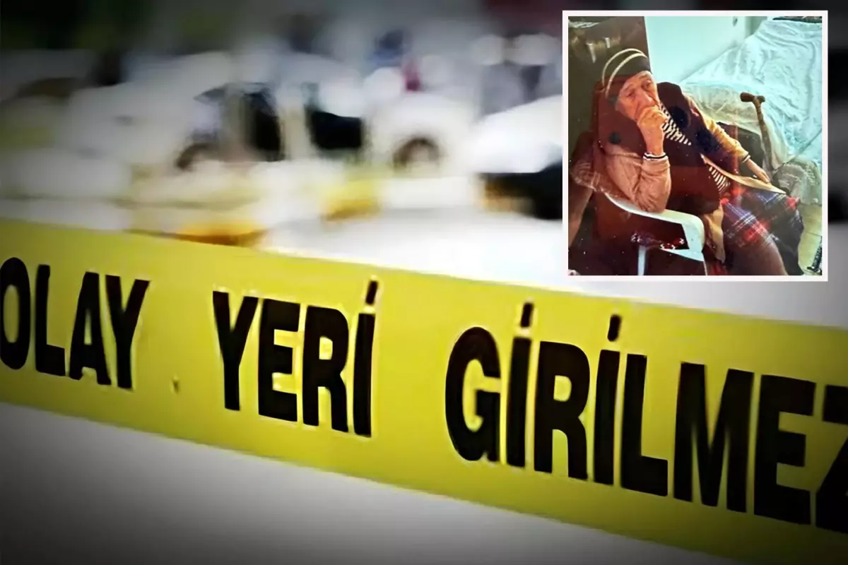 'Gezmeye' diye çıkardığı anneannesini öldürdü: 5 gözaltı