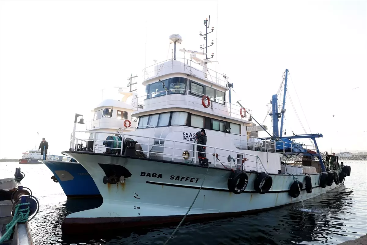 İğneada açıklarında hamsi bereketi