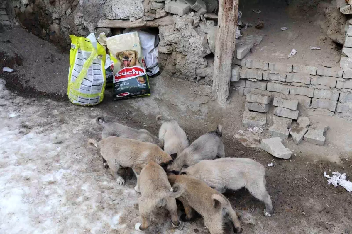 İstanbul'dan Erzurum'a uzanan yardım eli