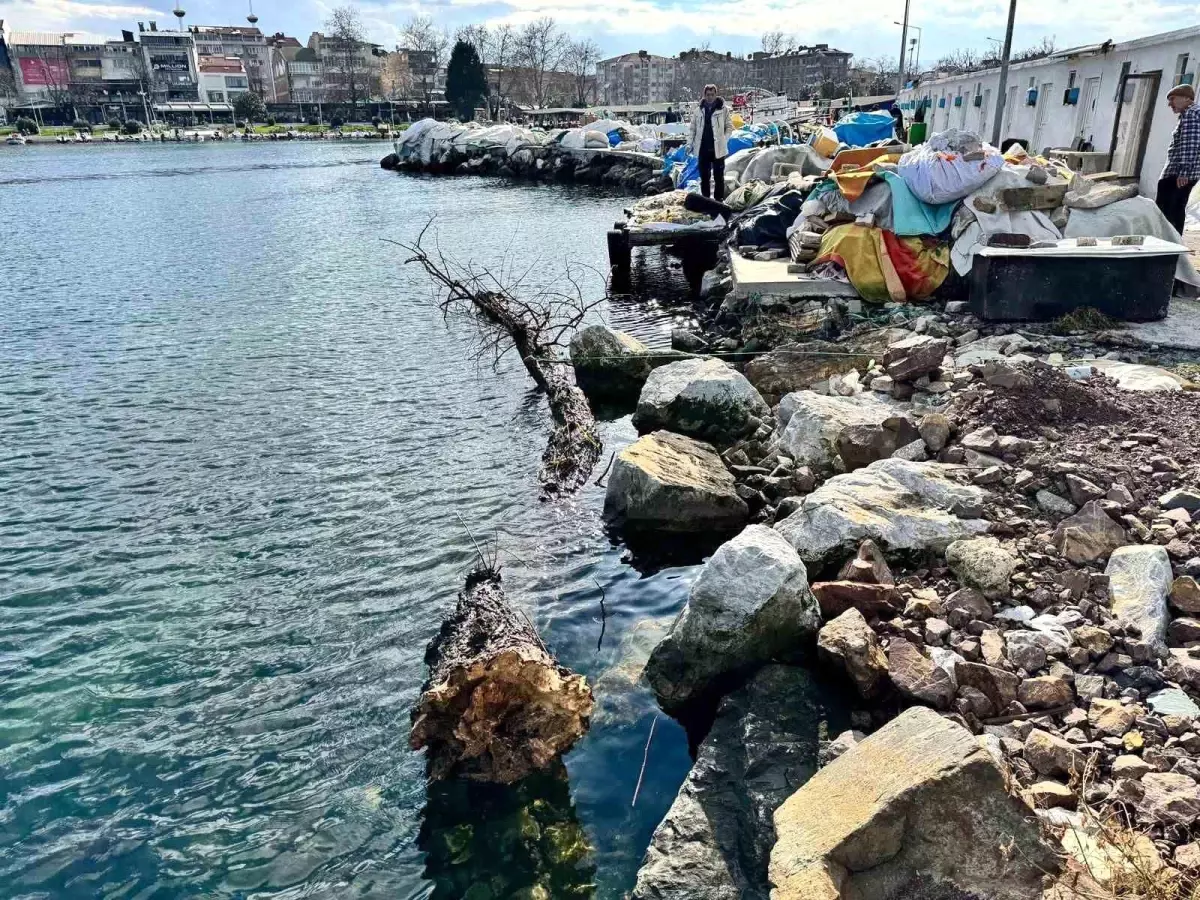 Marmara Denizi'nde feribot trafiği için tehlike oluşturan yüzen ağaç kıyıya çekildi