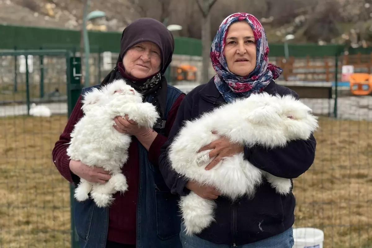 3 asır önce nesli tükenmişti! Yeniden anavatanında yetiştiriliyor