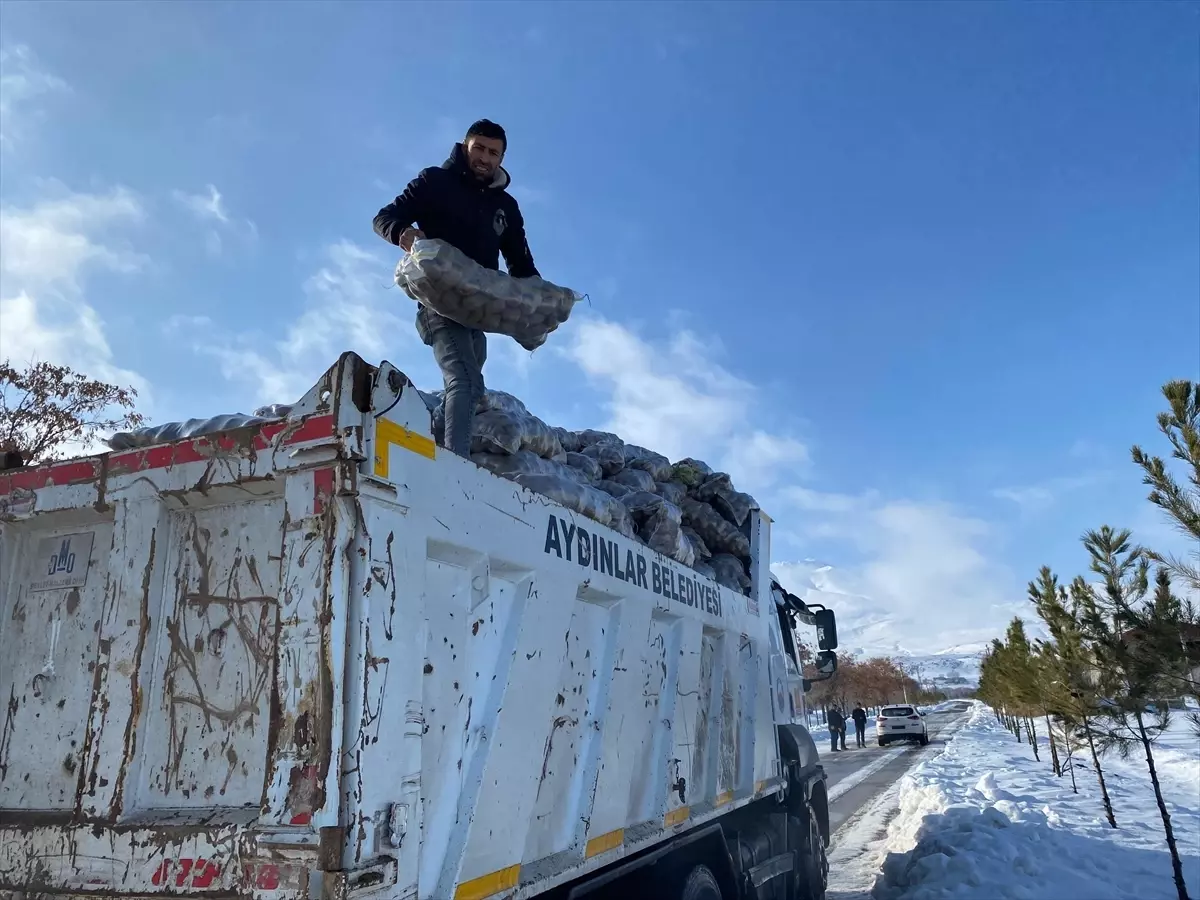 Adilcevaz'da ihtiyaç sahiplerine patates dağıtıldı