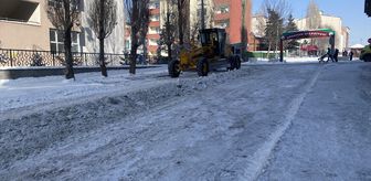 Ardahan'da cadde ve sokaklar kardan temizleniyor