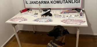Bilecik'te uyuşturucu operasonunda 2 şüpheli yakalandı