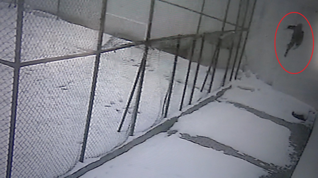 cam silerken 3 uncu kattan dusen ogretmen 19520104 8192 m