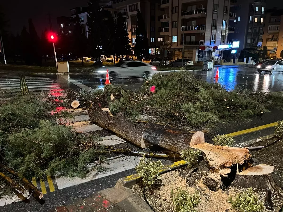 Denizli'de kuvvetli rüzgar etkili oldu