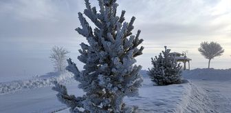 Erzurum, Ardahan ile Kars'ta sis ve soğuk hava etkili oluyor