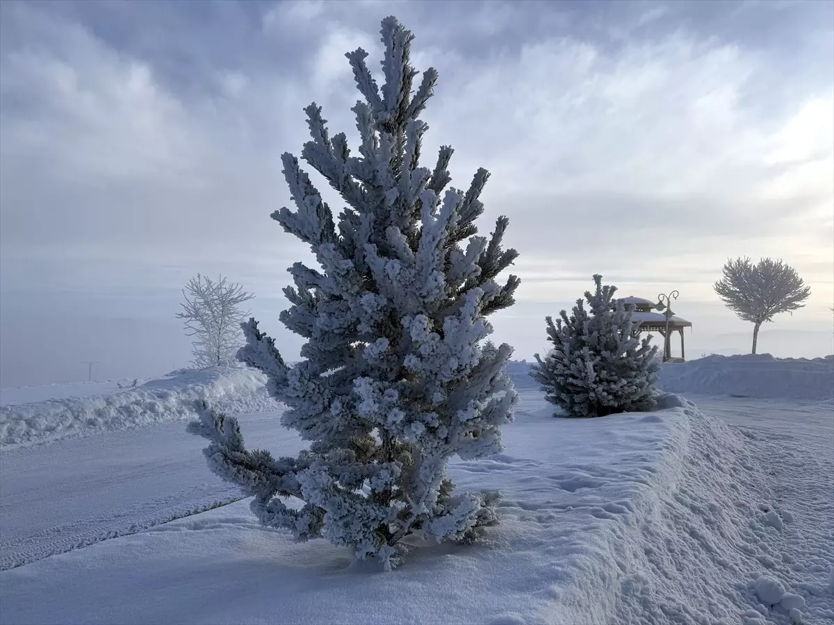 Erzurum, Ardahan ile Kars'ta sis ve soğuk hava etkili oluyor