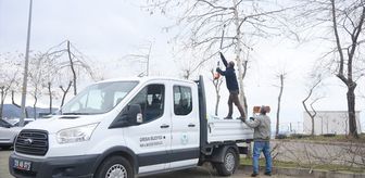 Giresun'dan kısa kısa