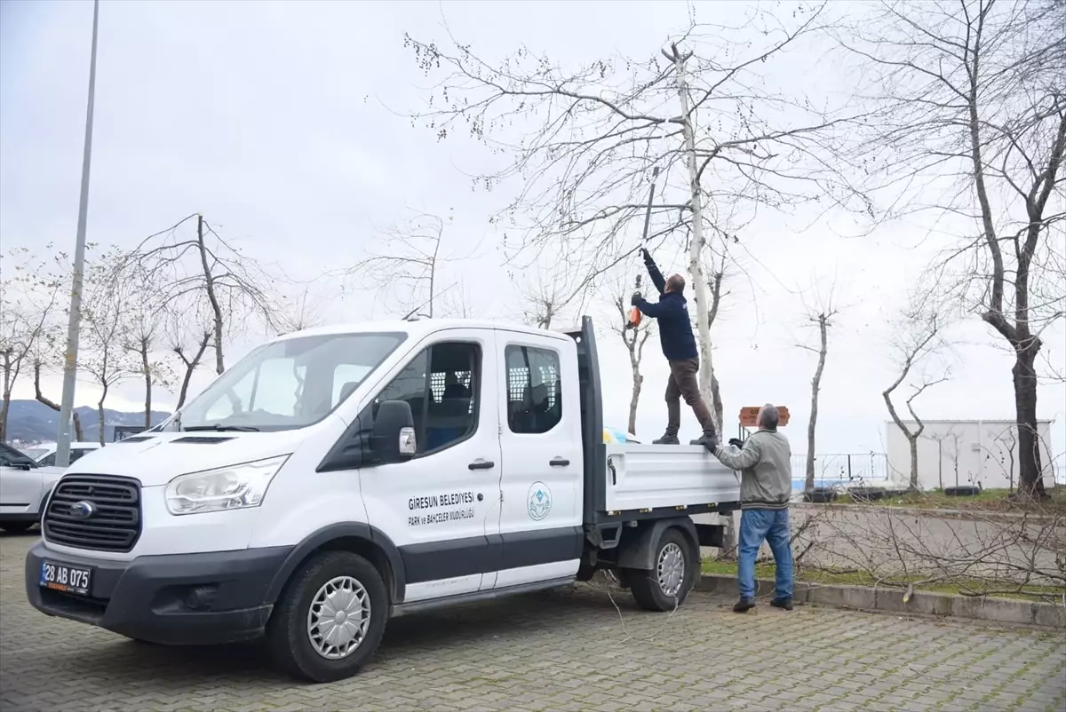 Giresun'dan kısa kısa