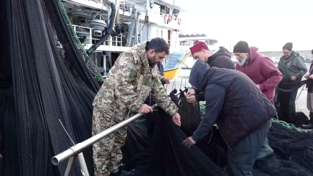 İğneada ve Gürcistan açıklarındaki hamsi avı beklentileri karşılamayınca balıkçılar erken paydos etti