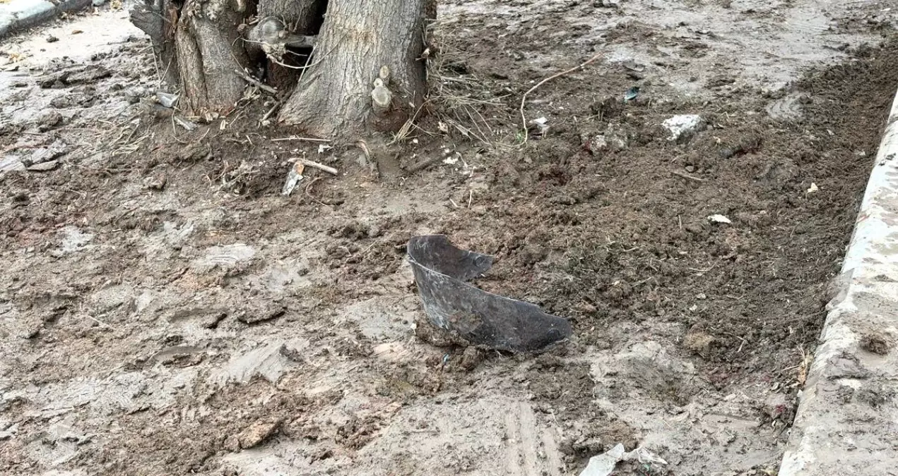 Kayganlaşan yolda kontrolden çıkan motosiklet ağaca çarptı: Kurye hayatını kaybetti