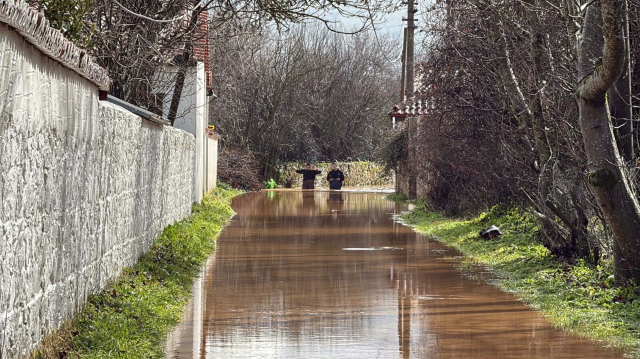 تم العثور على المرأة المفقودة، معلقة على شجرة