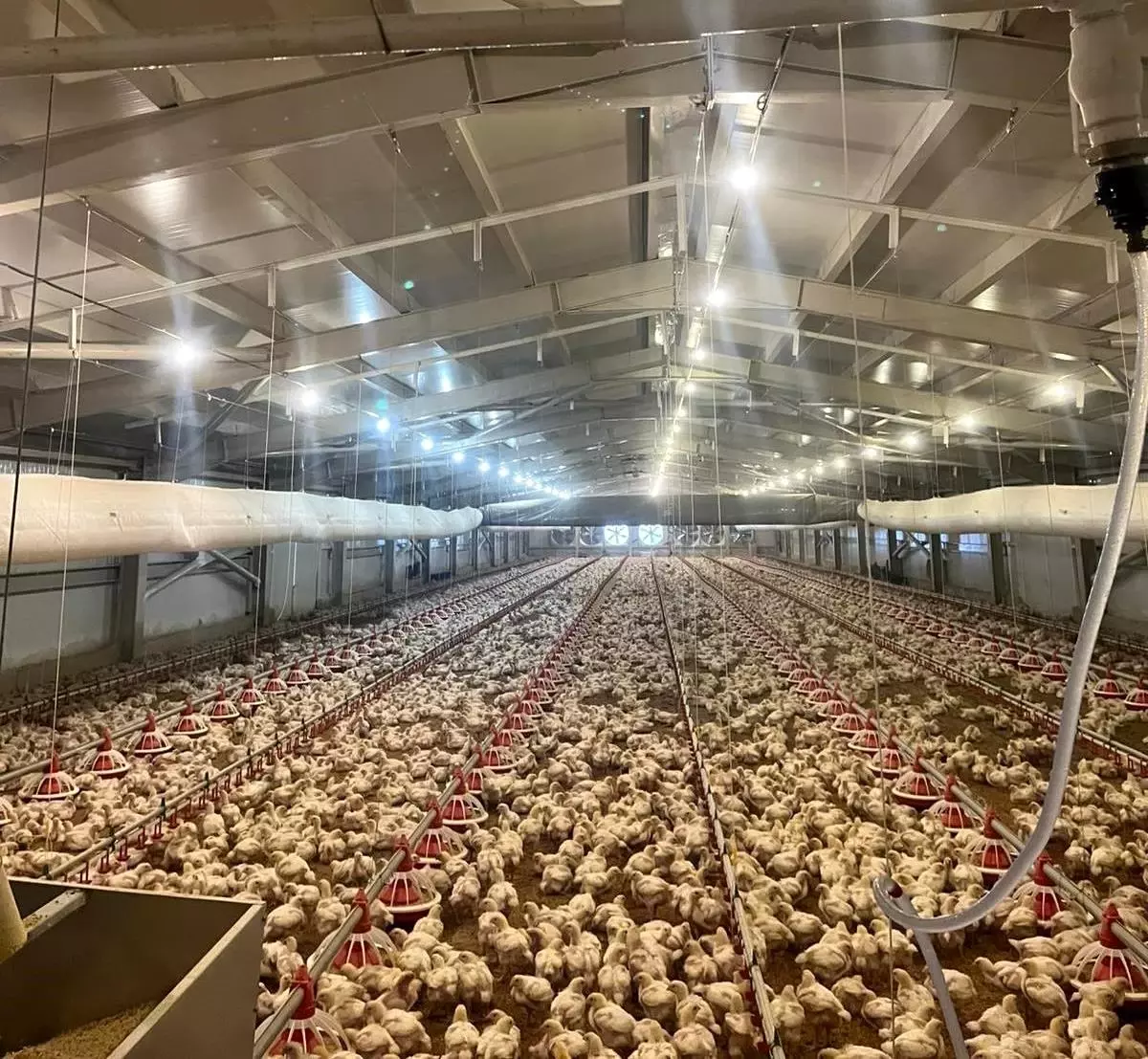 Kırsalda üretime 33,6 milyon liralık can suyu