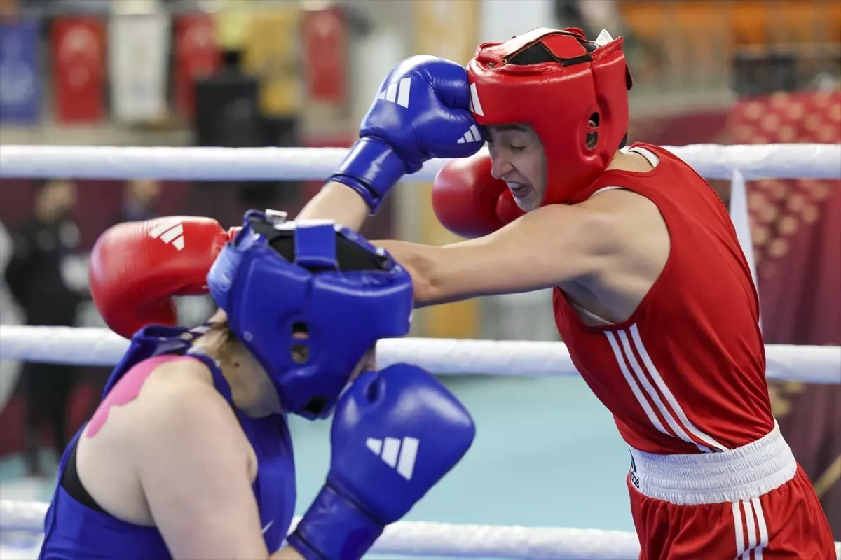 Kocaeli'de devam eden Türkiye Ferdi Boks Şampiyonası'nın çeyrek final etabı tamamlandı