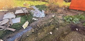 Sakarya'da tavuk çiftliğine biyogüvenlik kısıtlaması getirildi
