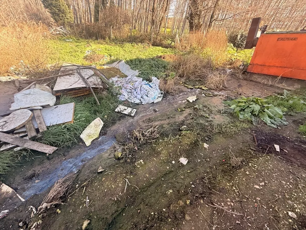 Sakarya'da tavuk çiftliğine biyogüvenlik kısıtlaması getirildi
