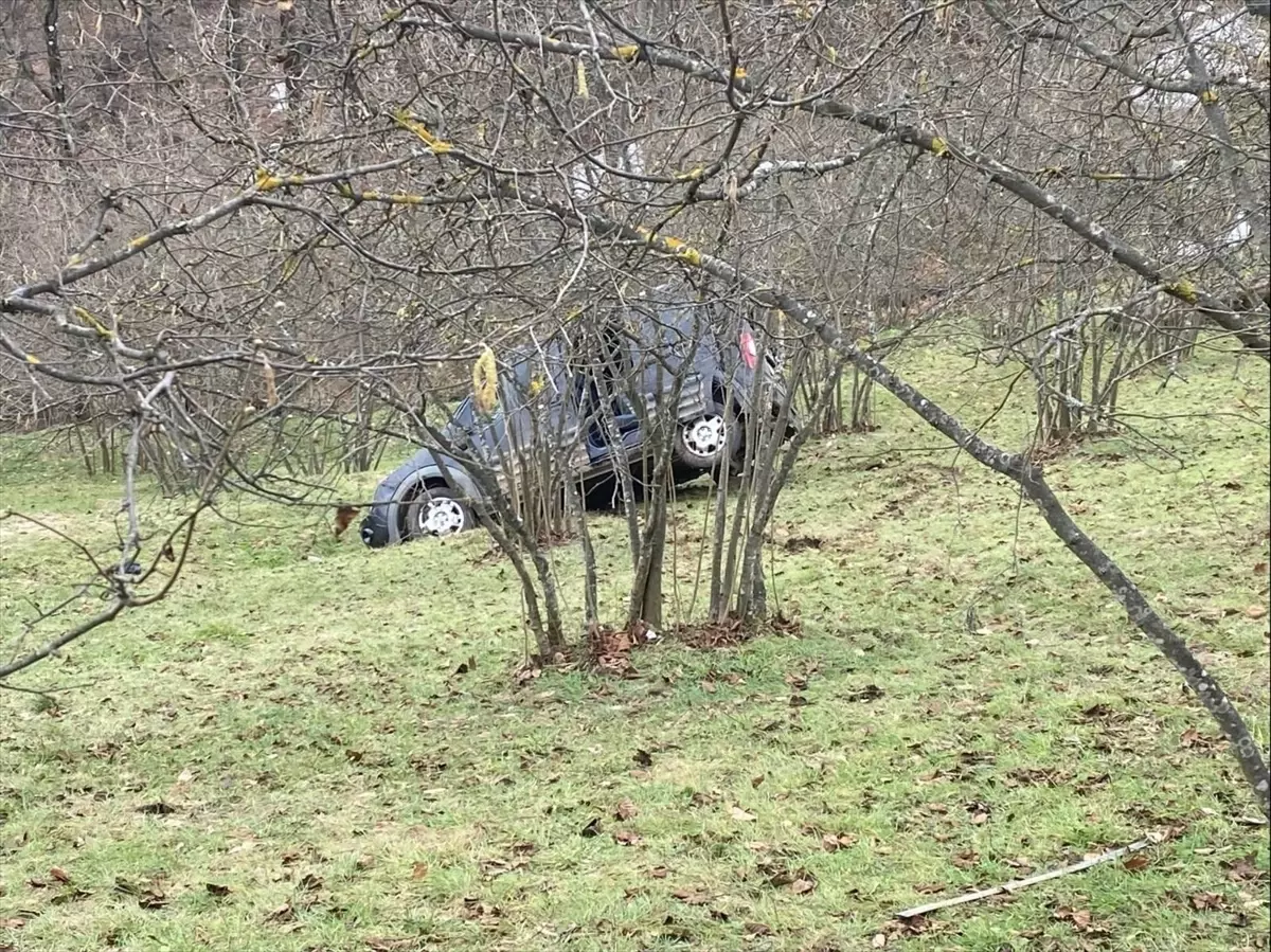Samsun'da fındık bahçesine yuvarlanan araçtaki 1 kişi öldü, 2 kişi yaralandı