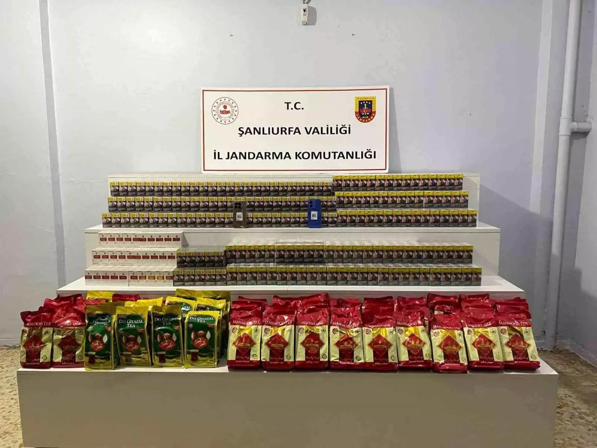 Şanlıurfa'da 9 bin 170 paket gümrük kaçağı sigara ele geçirildi