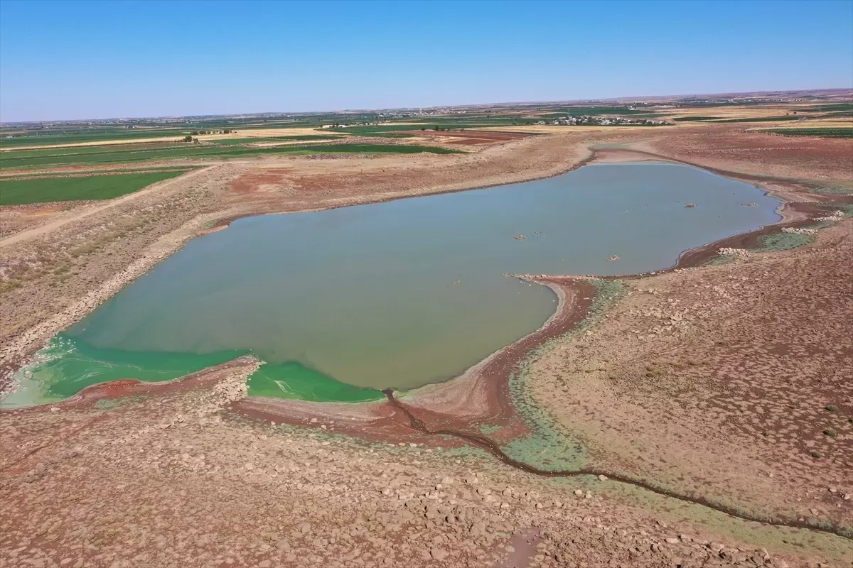 Şanlıurfa'da kuraklık nedeniyle alarm veren gölete son dönemdeki yağışlar can suyu oldu