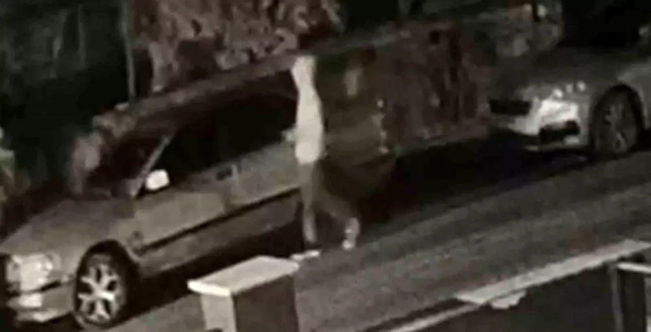 Eskişehir'de 7 araç camını kırıp hırsızlık yapmıştı, polis şüpheliyi yakaladı