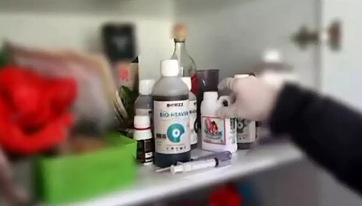 Evin bir odasını uyuşturucu serasına çeviren şüphelileri polis yakaladı