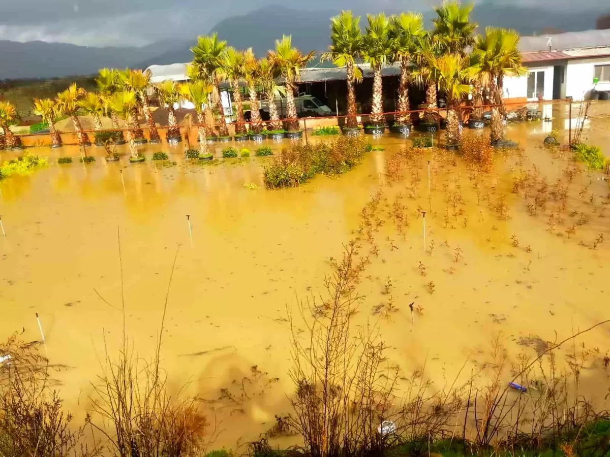 İzmir sağanağa teslim: Yollar ve tarım arazileri sular altında