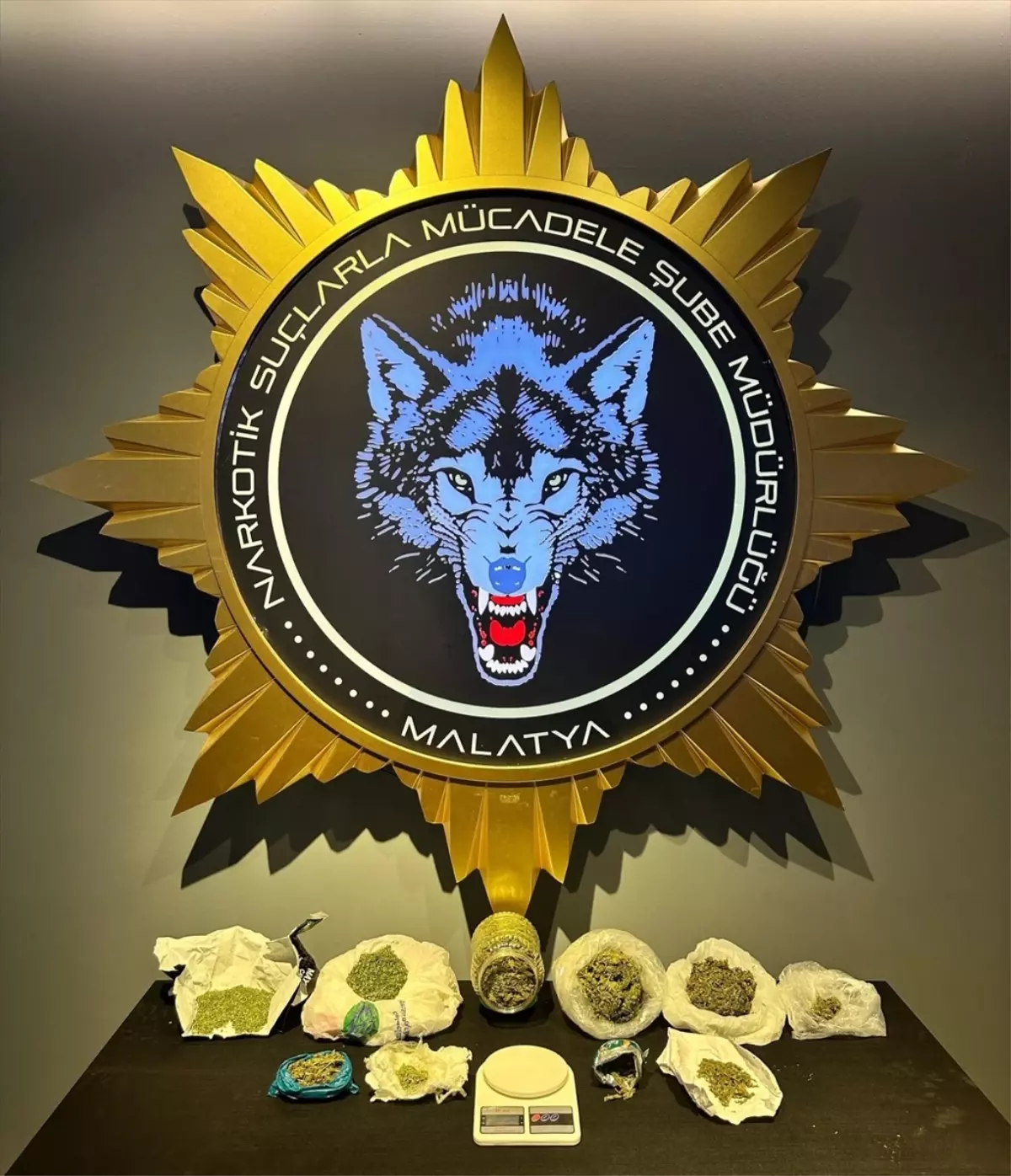 Malatya'da uyuşturucu operasyonunda yakalanan zanlı tutuklandı