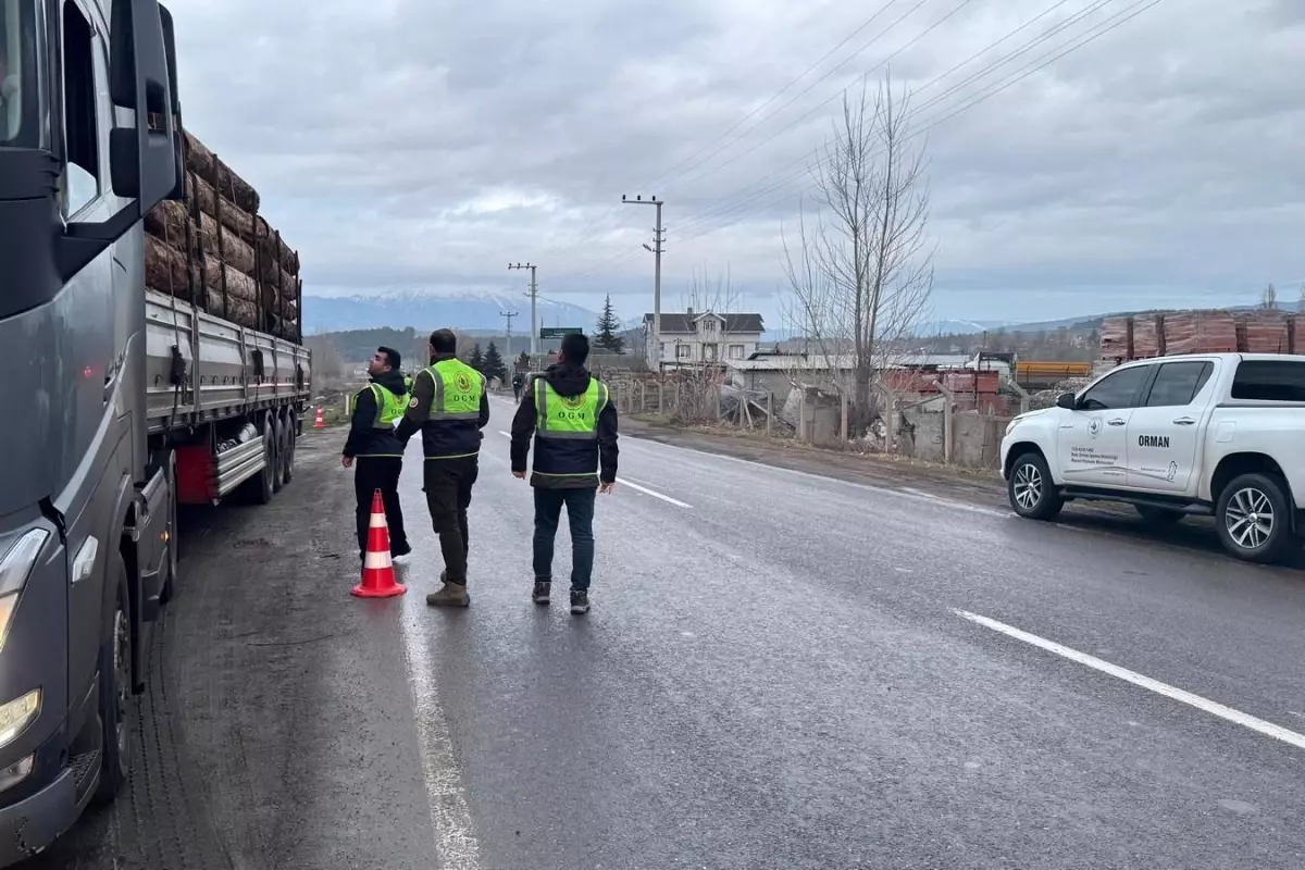 Orman denetimleri sürdürülüyor