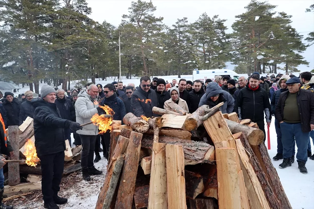 Sivas'ta çam ormanlarıyla kaplı Eğriçimen Yaylası'nda kış festivali düzenlendi