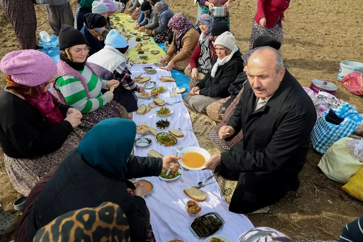 Taşköprü Belediye Başkanı Arslan'dan sarımsak tarlasında çalışan işçilere ziyaret