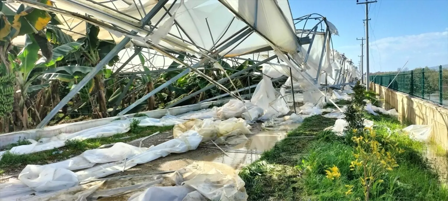 TZOB Genel Başkanı Bayraktar, hortumdan etkilenen Manavgat'ta çiftçilerle buluştu