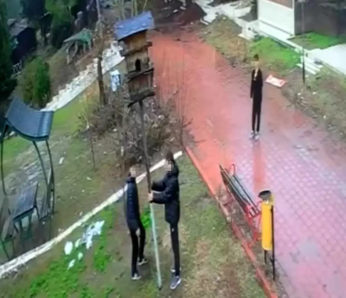 Adana'da parktaki kuş yuvasını parçaladılar